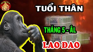 Tử Vi Tháng 5 Âm Lịch Tuổi Thân May Mắn, Giàu Có Hay Vận Hạn Thế Nào?