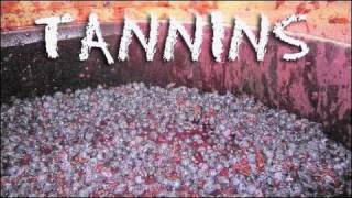 What are Tannins?