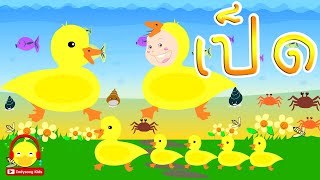 เพลงเป็ดอาบน้ำในคลอง The duck song / เพลงเด็ก indysong kids