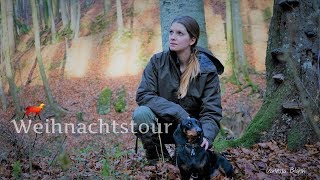 Weihnacht im Wald ? Stille Nacht - Die Weihnachtstour ❄️ Vanessa Blank -  4K