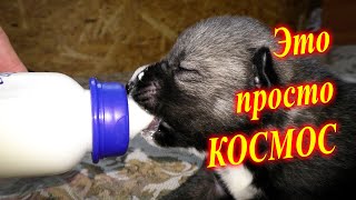 ?Это просто КОСМОС?