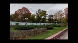 Руслан Алехно -  Белорусское полесье
