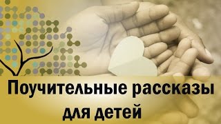 3 мудрых и  поучительных  рассказа для детей о дружбе, человечности и доброте.