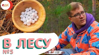 Под тенью развесистой клюквы! В лесу