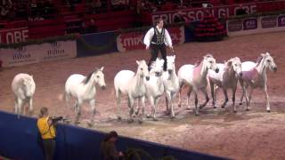 LORENZO'S HORSES @ STOCKHOLM HORSE SHOW 2011; BASSHUNTER