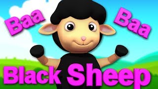 Baa Baa Black Sheep | Baby Bao Panda Cartoons And Rhymes