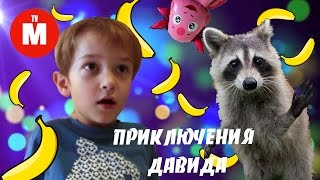 Волшебный Енот Ожил!!! Лунтик все серии подряд ДАВИД ЛУНТИК И ЕНОТ Видео для детей