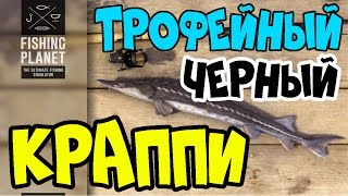 Fishing Planet прохождение | Трофейный Черный Краппи | Северная Каролина, Река Нейеррин | 2016