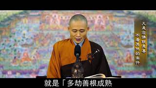 安心丨“凡是念佛就是善 不看其他的条件☀”