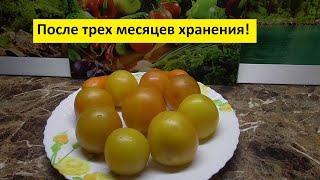 Томат "Новогодний". Дегустация в декабре. 