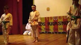 Demonstration of Traditional Karate,  Karen Dobrowolska - Zamość / Poland