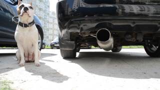 fujitsubo legalis super r Subaru forester XT SG5