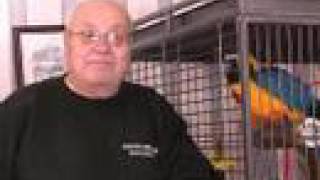 Meet Barney - Nuneaton's swearing parrot