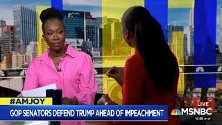 Midwin Charles on GOP Vs Democrats on #Trump Impeachment Proceedings #AMJoy