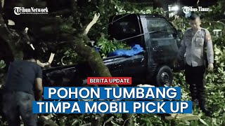 Proses Evakuasi Pohon Tumbang Timpa Mobil Pick Up di Gowa Berlangsung Dramatis