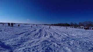 Snow Drag Racing in Carelton Place 6