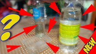 Как разводить живые корма для аквариумных рыбок! Live feed for aquarium fish!