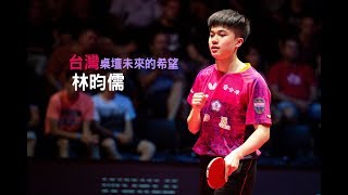 【濫觴桌球】台灣桌壇明日之星