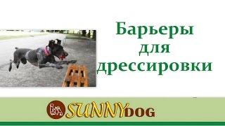 Команда барьер. Как научить собаку преодолевать препятствия по команде барьер