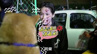 《黑喵知情》連俞涵開拍前 與寵物們溝通趣事！？
