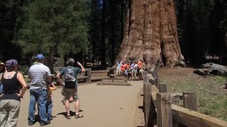 From Cuba to the Yosemite | Wonders of the World