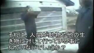 潜入調査　隠しカメラ　衝撃映像集　１/１３