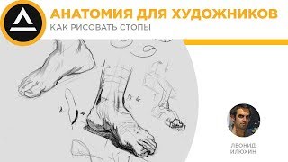 АНАТОМИЯ ДЛЯ ХУДОЖНИКОВ | Как рисовать стопы