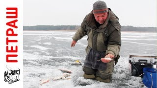 Ловля ПЛОТВЫ ЗИМОЙ Зимняя рыбалка на мормышку Видео 2017 Уроки