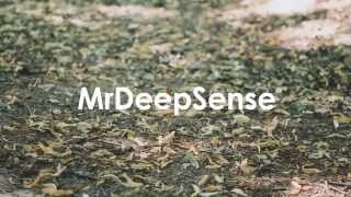MrDeepSense Part I -compilation