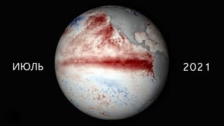 Аномальная жара стала причиной гибели 1 миллиарда морских существ.