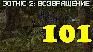 Gothic 2: Возвращение #101 (Дар безумца)
