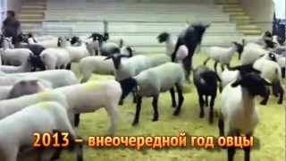 Бе-бе-бе