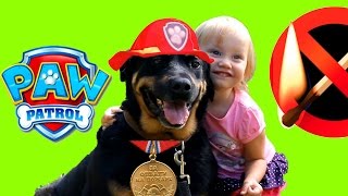 ПОЖАР Щенячий Патруль PAW Patrol СПАСАЕТ Игрушки Маша и Медведь из огня PAW Patrol Toys For Kids