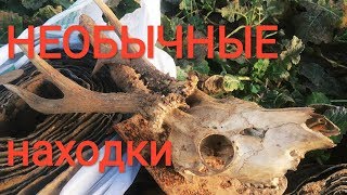 ВСПОМНИЛ ШКОЛУ-СБОР МЕТАЛЛОЛОМА И АРМИЮ-МАРШ-БРОСОК С ПОЛНОЙ ВЫКЛАДКОЙ! ЧТОБ МЕНЯ! 50 кг.СВИНЦА.Ф208