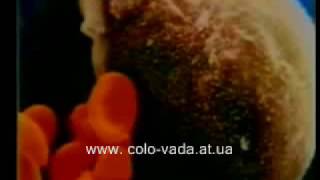 *Что любит и чего боится раковая клетка?