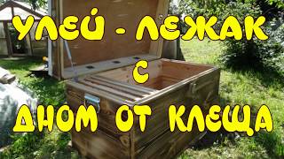 УЛЕЙ ЛЕЖАК СВОИМИ РУКАМИ С ДНОМ ОТ КЛЕЩА ВАРРОА. КАК СДЕЛАТЬ УЛЕЙ СВОИМИ РУКАМИ.