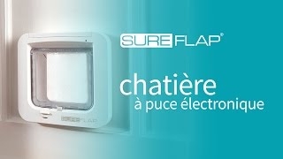 Comment mémoriser la puce de votre chat dans la chatière SureFlap