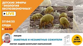 Детский эфир "Заметные и незаметные сожители" курса "Экология беспозвоночных" Вадима Марьинского