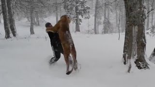 ВСЕМ ПОДБОРКАМ ПОДБОРКА ПРИКОЛОВ №4