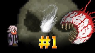 ТЕМНАЯ ДУША || Terraria Dark Souls MOD #1
