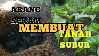 CARA MEMBUAT ARANG SEKAM & KEGUNAAN ARANG SEKAM. PERSIAPAN MEDIA TANAM/SEMAI CABE RAWIT.