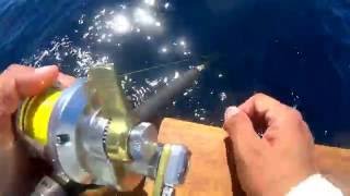 Phenix Abyss 807 & Shimano Talica 8II 20lb setup on a nice Yellow Fin Tuna aboard Sea Adventure 80