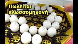 Πωλείται κλωσσομηχανή σε χαμηλή τιμή