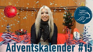 "... Nachhaltige Verkehrsplanung!" Jasmin Rychlik - Know your Lehrstuhl! | Adventskalender #15