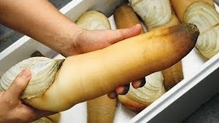 Avrupalı Kadınlar Israrla Bunu İstiyor, Siz Sahip Olmak İstesenizde Şansınız Zor