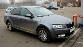 Skoda Octavia A7 1.8 Tsi, прошивка 230hp: реальная динамика разгона, замеры эластичности