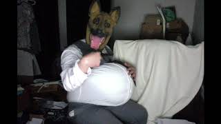 Dog is home alone! ( Balloon Belly Inflating )