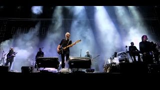 Roger Waters - "Pigs (Three Different Ones)"