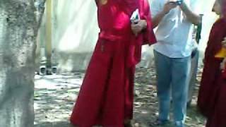 ལྗོན་ཤིང་འགའི་ངོ་སྤྲོད།