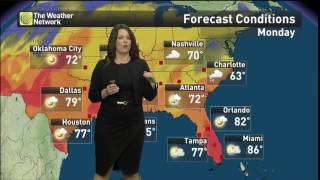 Jaclyn Whittal 2017/04/21 TWN